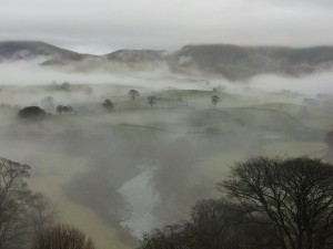 Misty view, Nettlepott