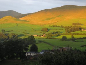 View from bedroom